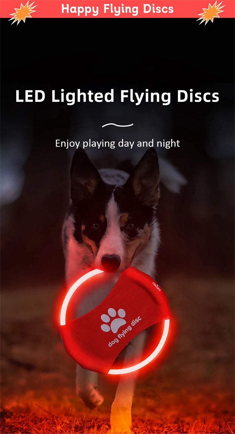 LED Frisbee