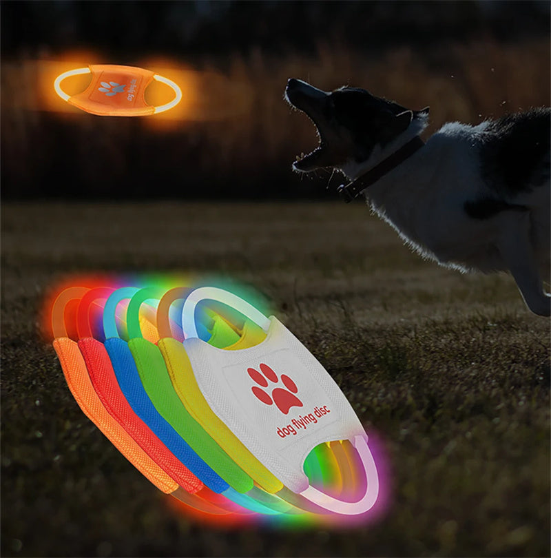 LED Frisbee
