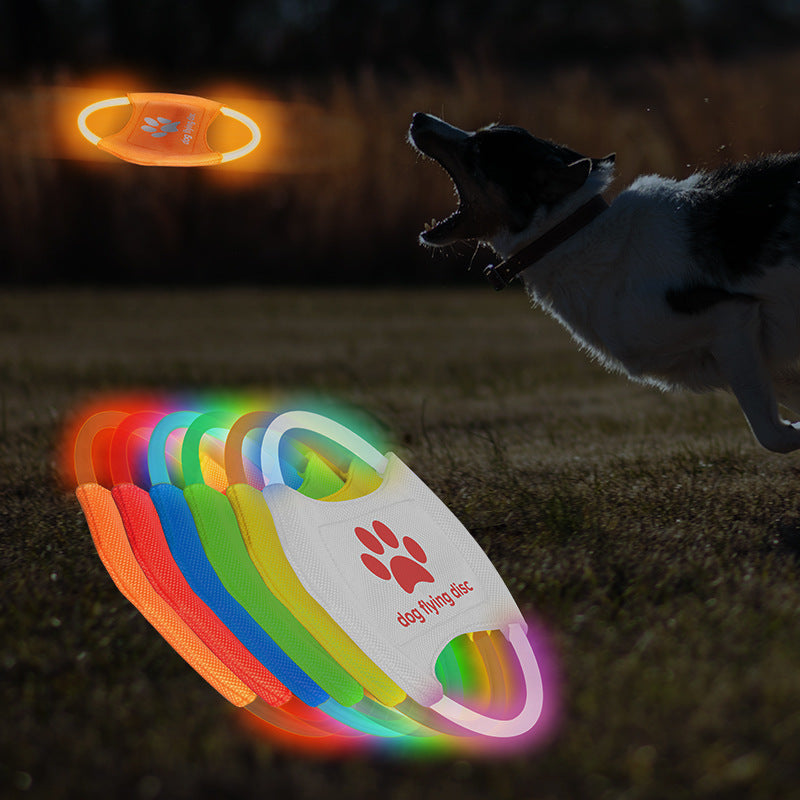 LED Frisbee