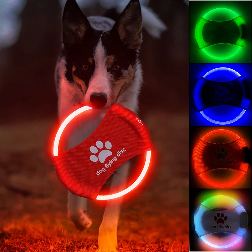 LED Frisbee